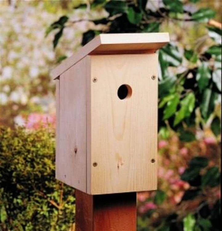How to Build a One Board Birdhouse
