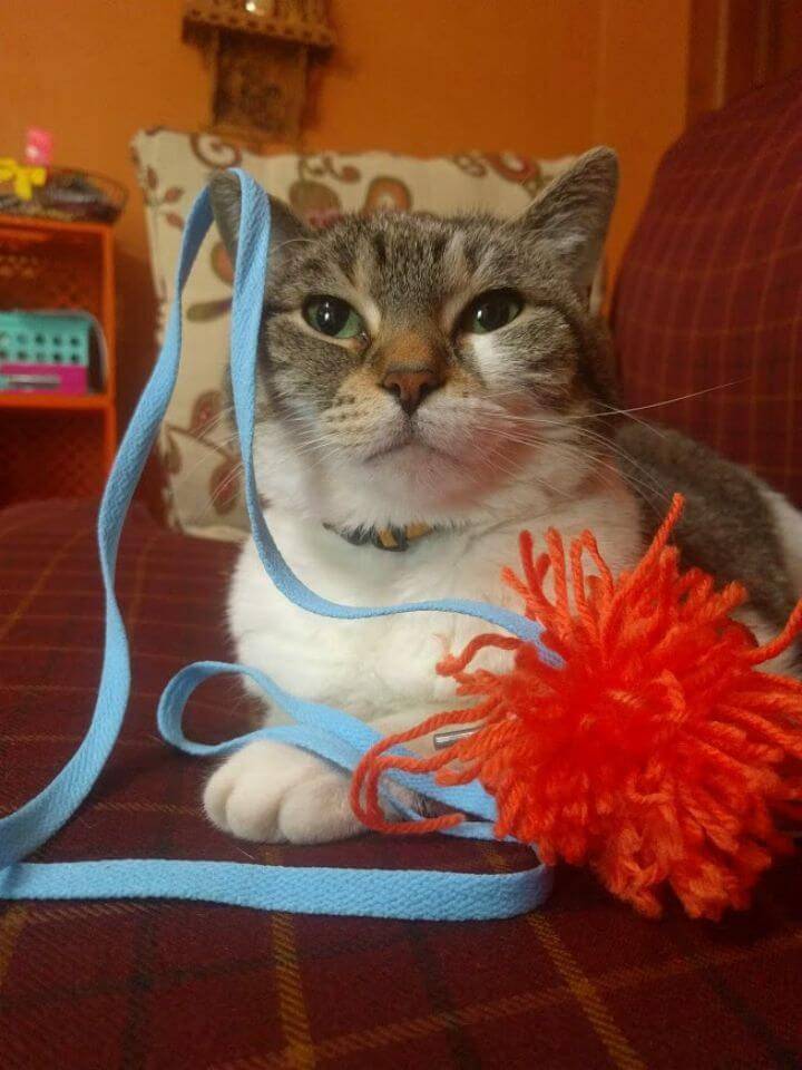 How to DIY Yarn Cat Toys