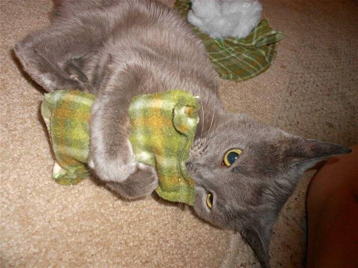 Make Your Own Catnip Cat Toys