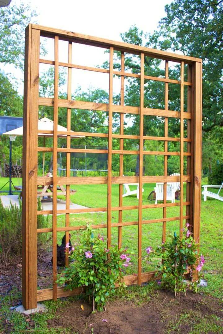 Modern and Easy DIY Garden Trellis