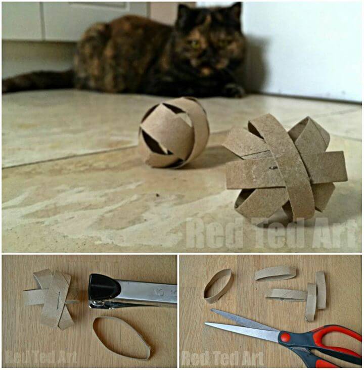 Simple DIY TP Roll Cat Toy