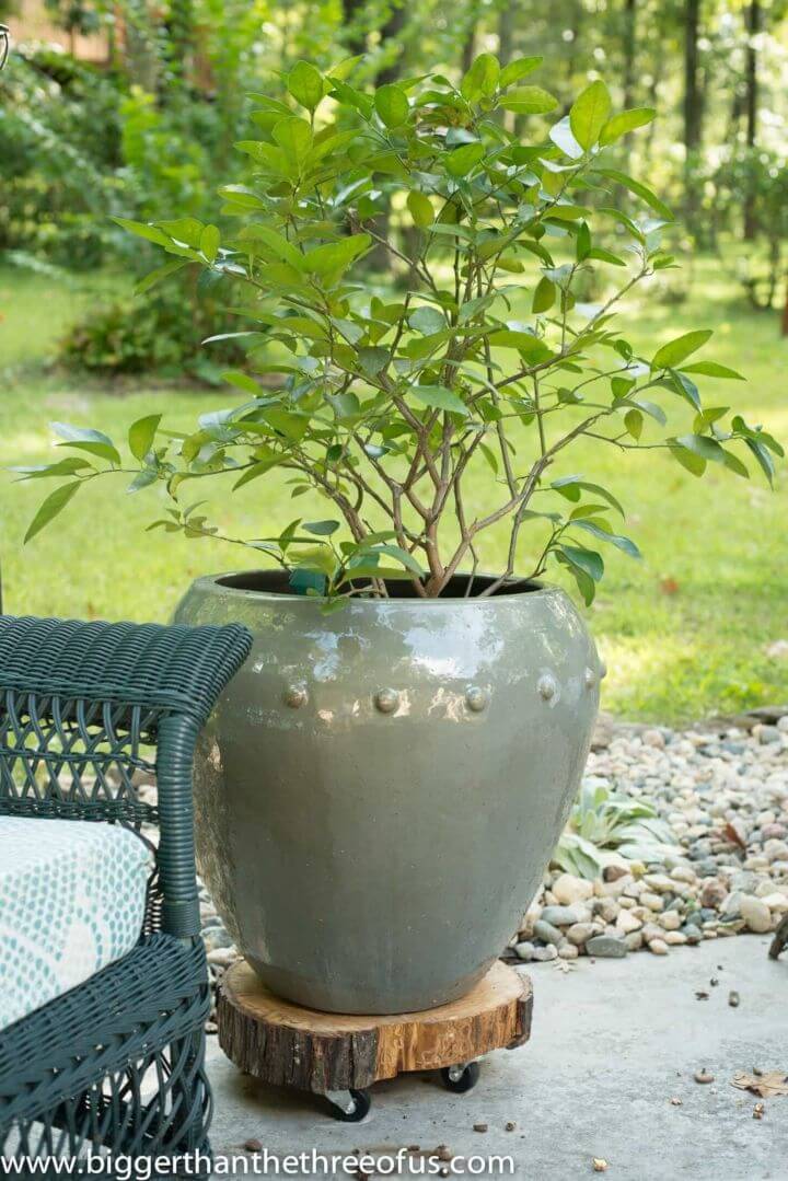 DIY Plywood Plant Stand on Wheels