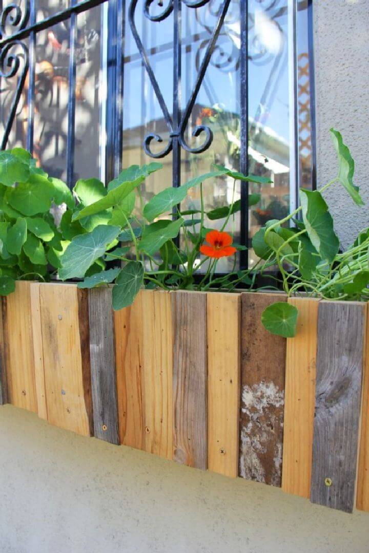 Planter Boxes for Windows With Bars