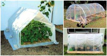 16 PVC Greenhouse Plans Help You to Build Low Cost DIY Greenhouse