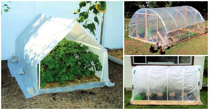16 Pvc Greenhouse Plans Help You To Build A Cheap Greenhouse