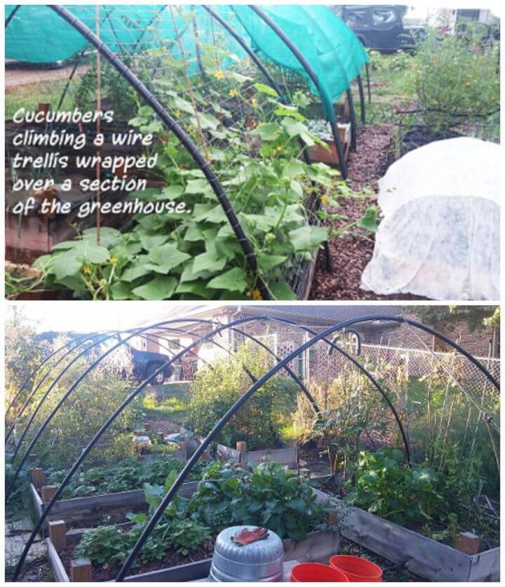 Build an PVC Greenhouse in One Day