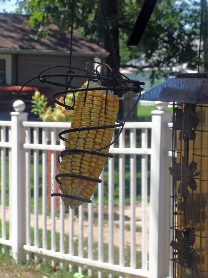 DIY Cushion Spring Squirrel Feeder