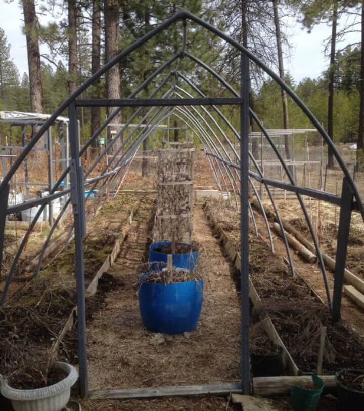 DIY PVC Greenhouse On A Tight Budget