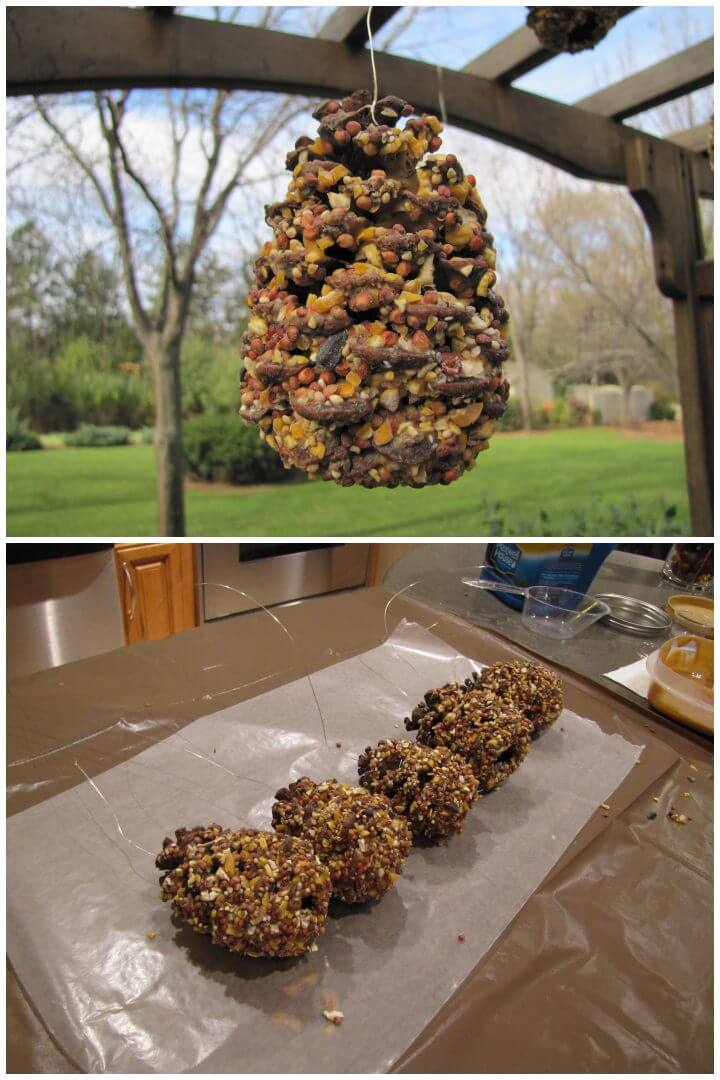 DIY Pine Cone Bird and Squirrel Feeders