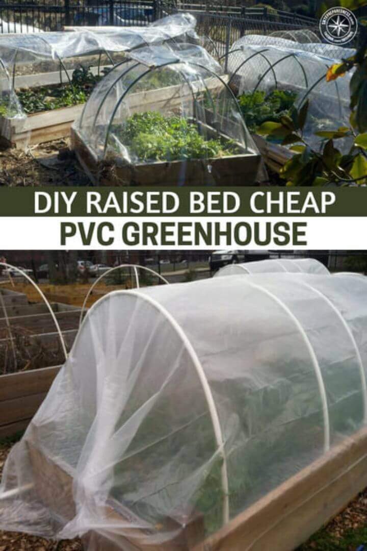 DIY Raised Bed Cheap PVC Greenhouse