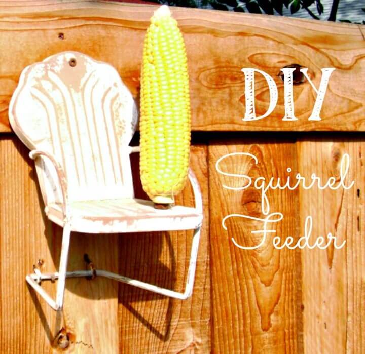 DIY Squirrel Feeder Weekend Yard Idea