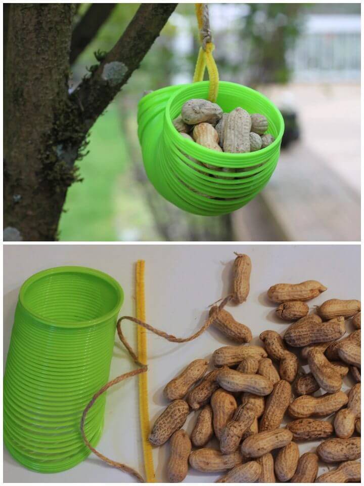 DIY Squirrel Slinky Feeder
