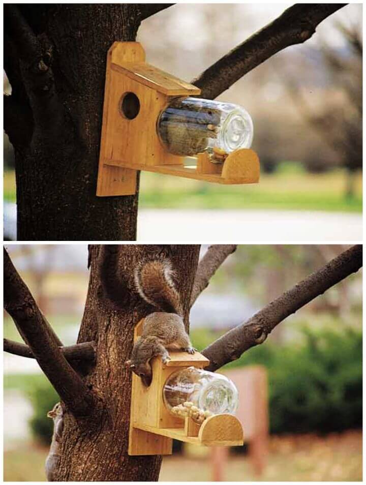 DIY Wooden Squirrel Feeder
