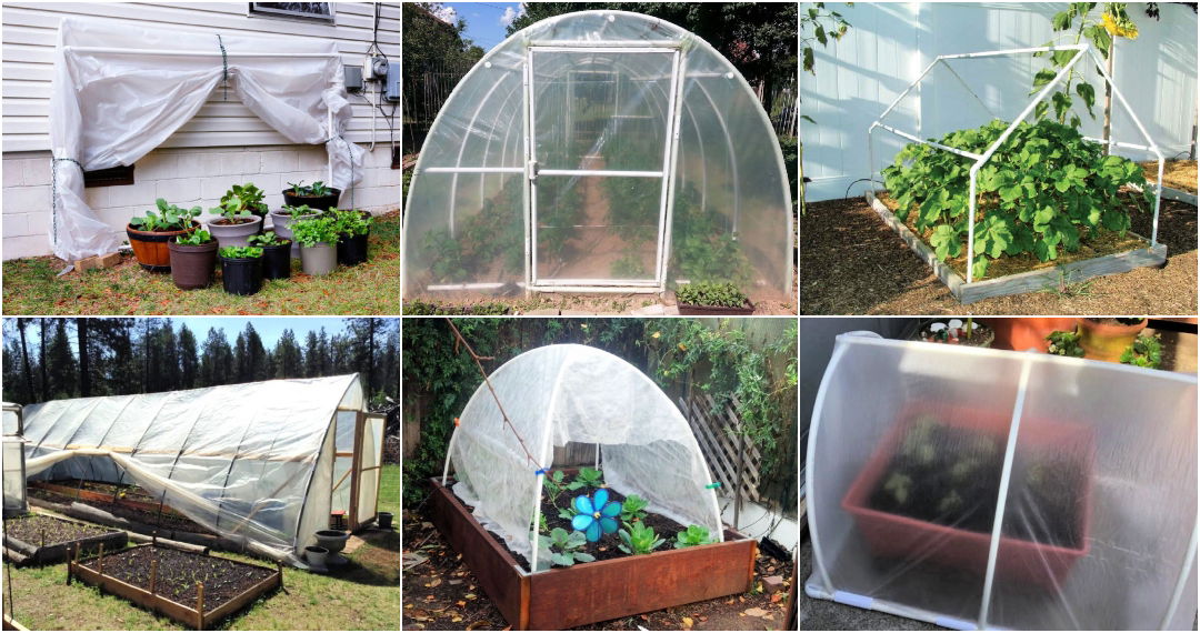 15 DIY PVC Greenhouse Plans (Build A PVC PIPE Greenhouse)