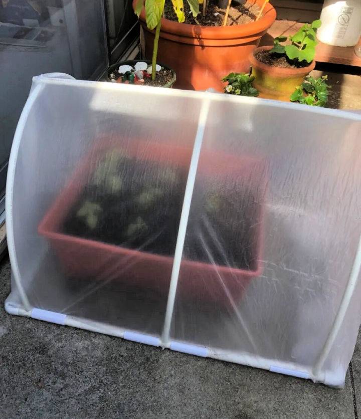 Making a Mini Greenhouse Out of PVC Pipe