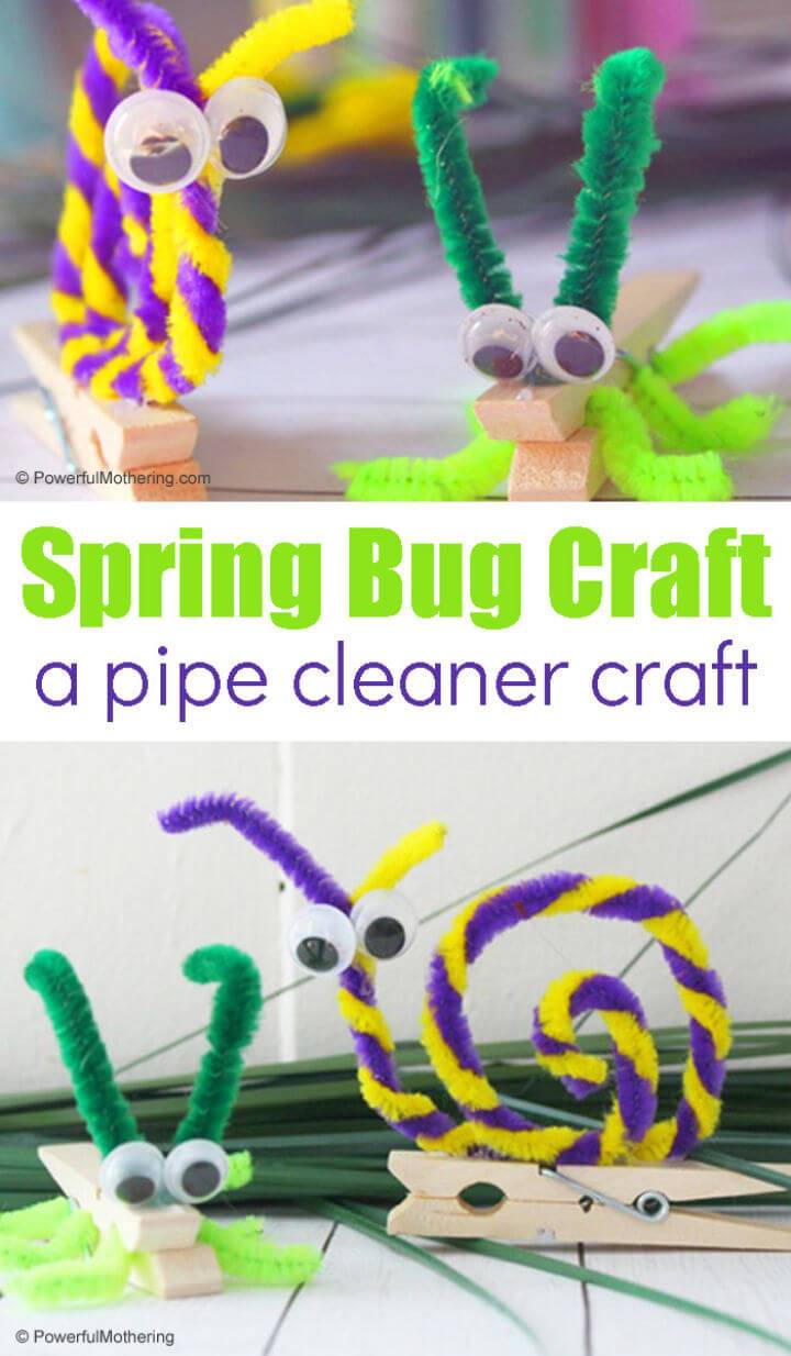 Pipe Cleaner Insects Craft