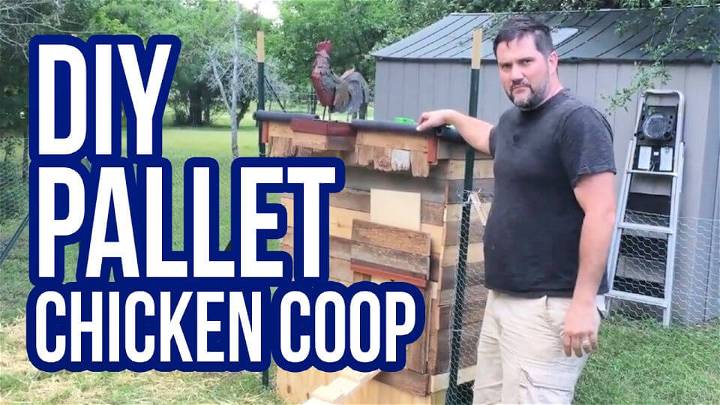 Adorable DIY Pallet Chicken Coop