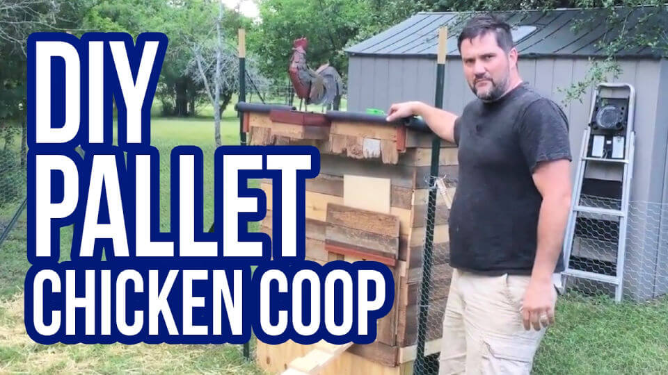 Adorable DIY Ballet Chicken Coop