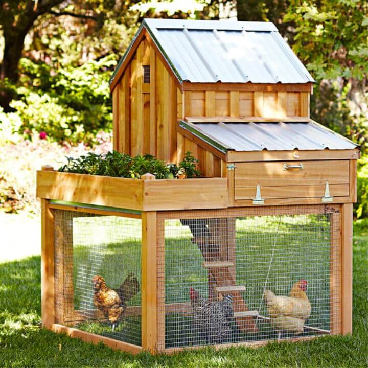 Affordable DIY Chicken Coop
