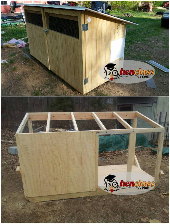 Build Chicken Coop for Backyard
