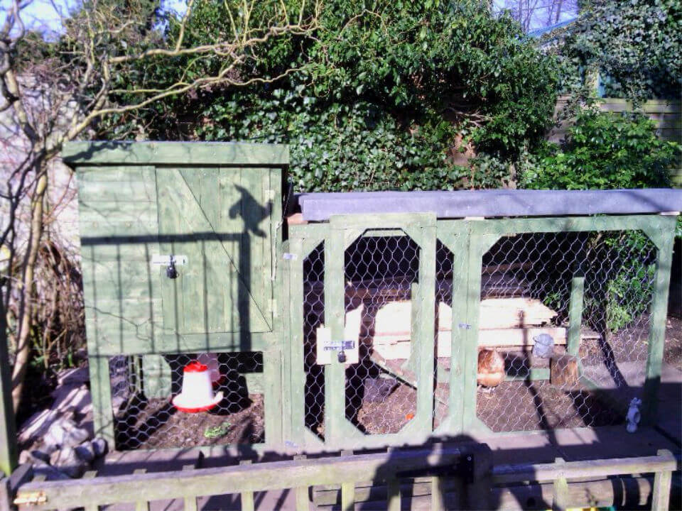 Building a Chicken Coop From Pile Of Pallets