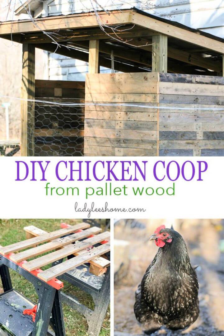 Build Your Own Chicken Coop from Pallet Wood