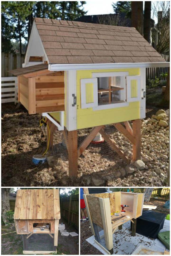 Build a Chicken Coop for Less Than 50