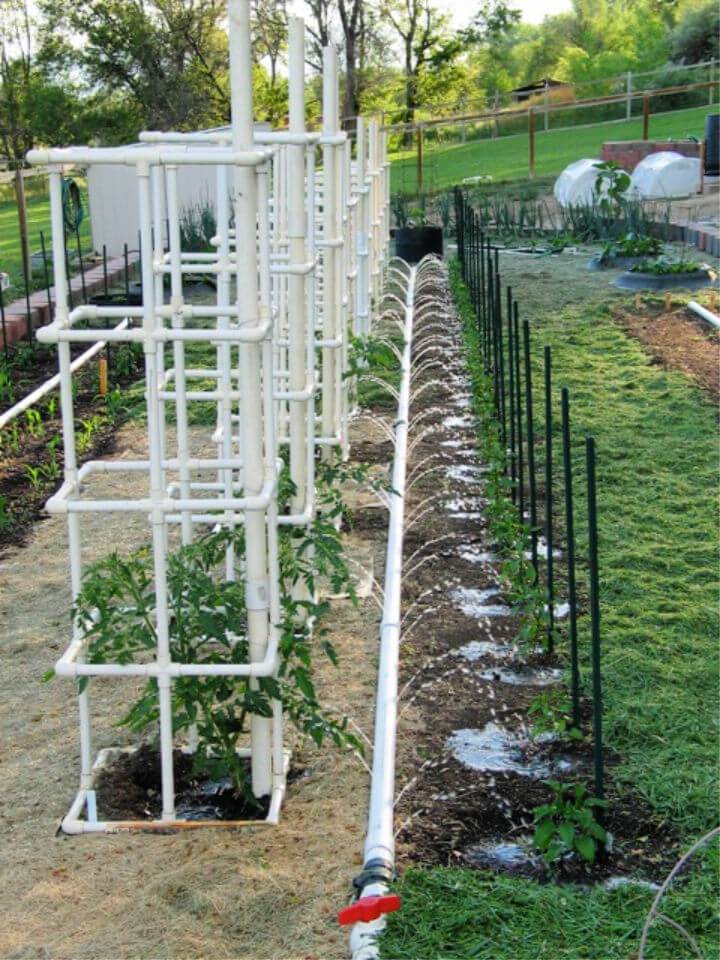 Build your Own PVC Tomato Cage
