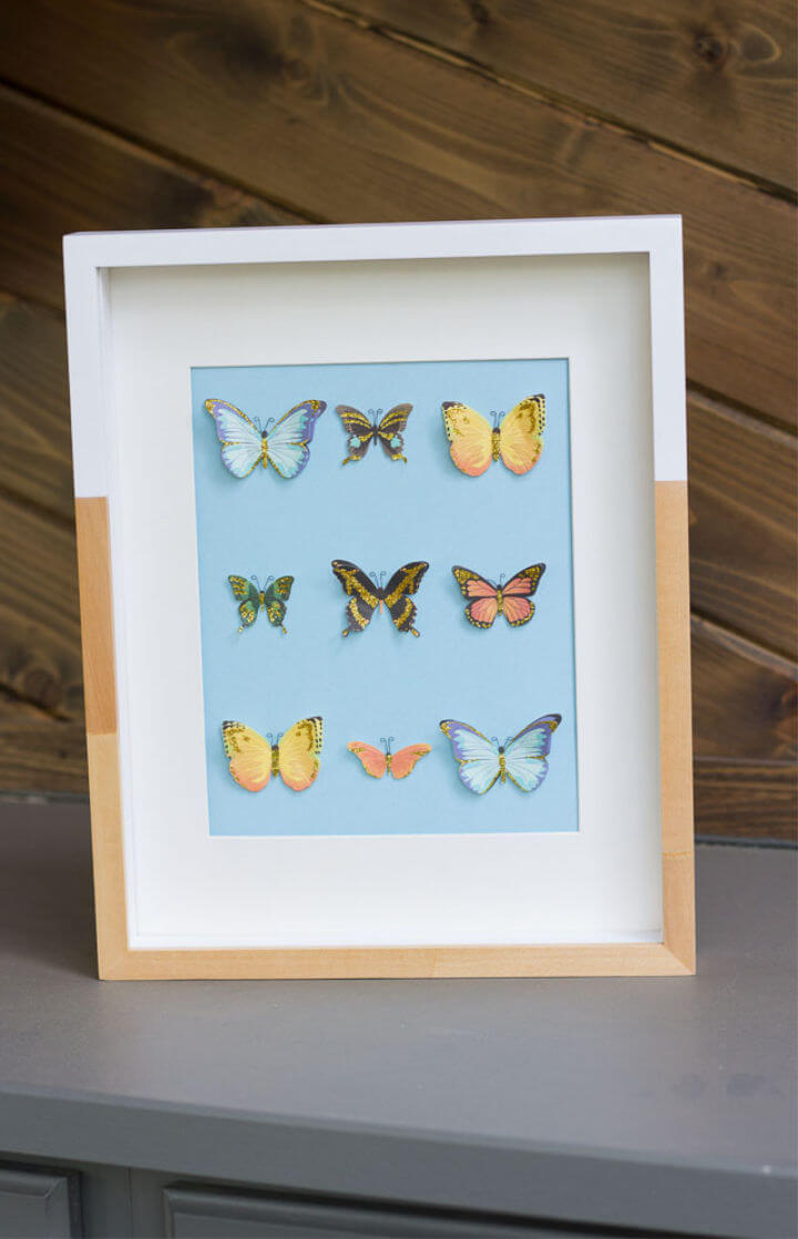 DIY Shadow Box Butterfly Specimen Wall Art