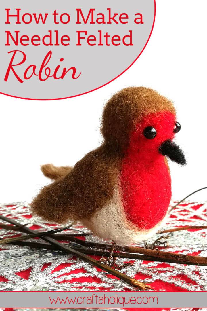 Cute DIY Needle Felted Robin