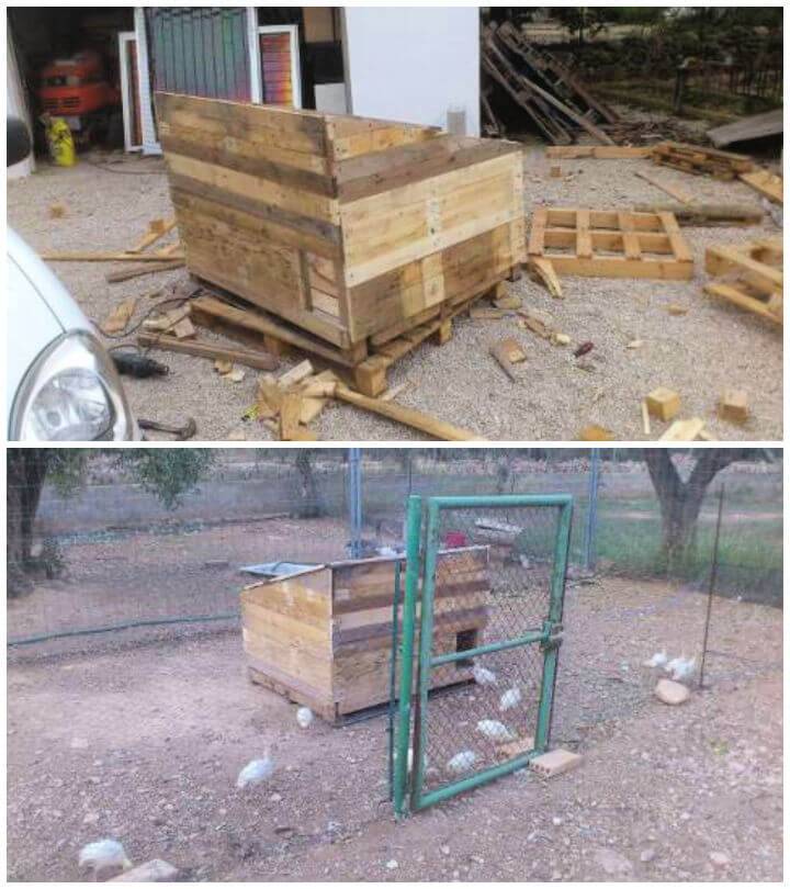 DIY Chicken Coop Built From Old Pallets
