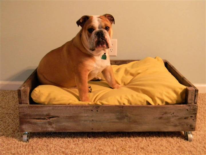 DIY Doggy Pallet Bed
