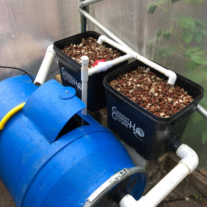 Inexpensive DIY Hobby Aquaponics System