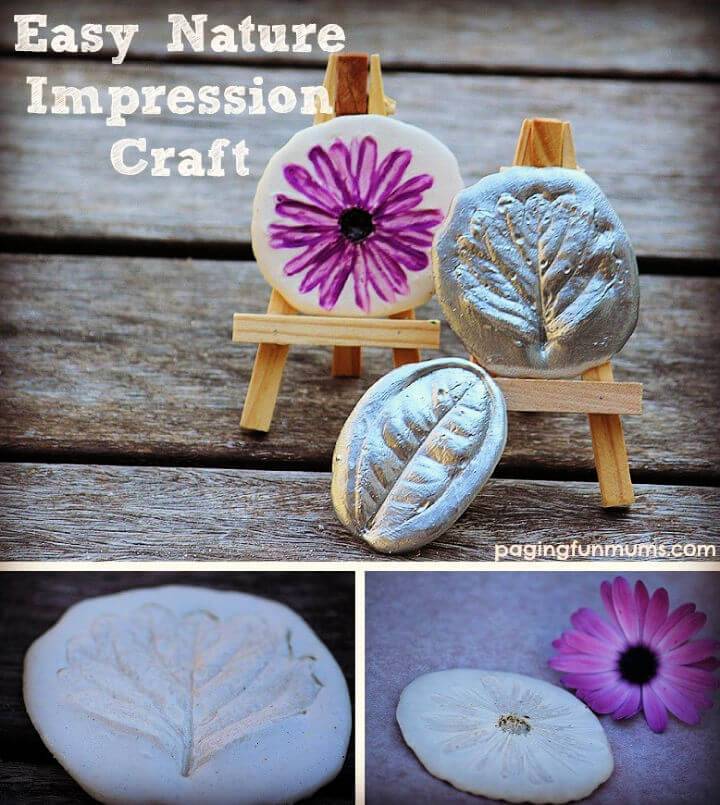 DIY Nature Impression Craft