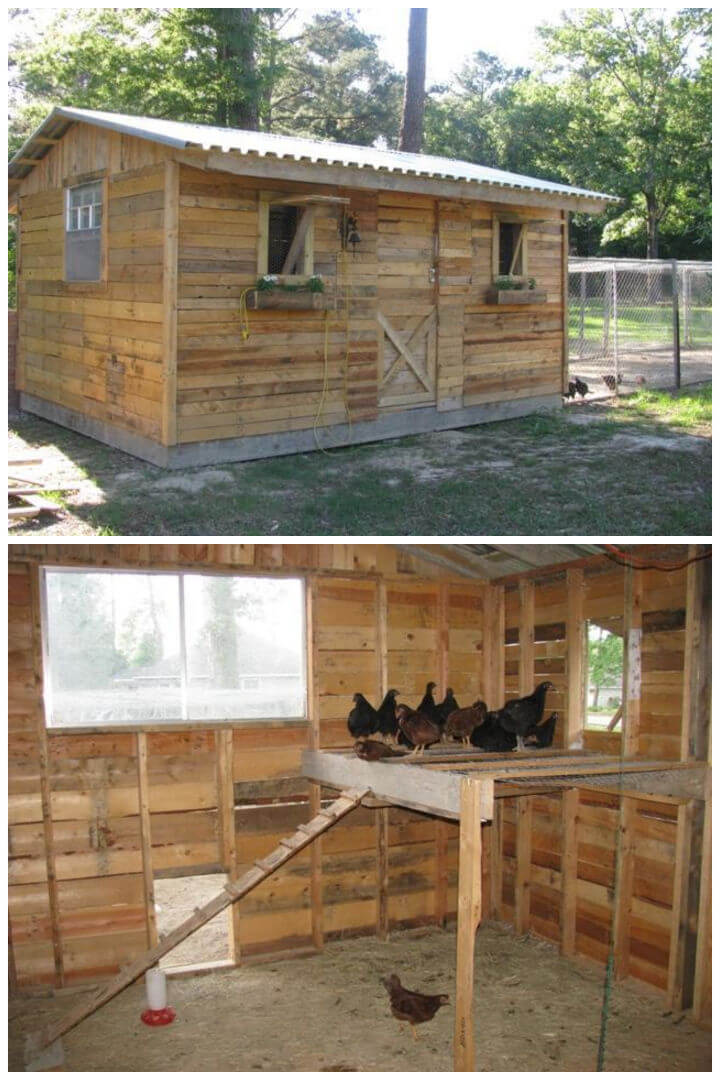 20 Pallet Chicken Coop Plans You Can Build On Low Budget Diy Crafts