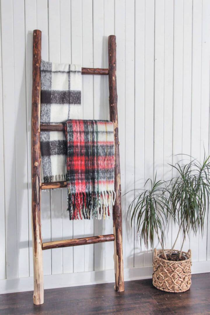 Rustic Blanket Ladder from Tree Branches