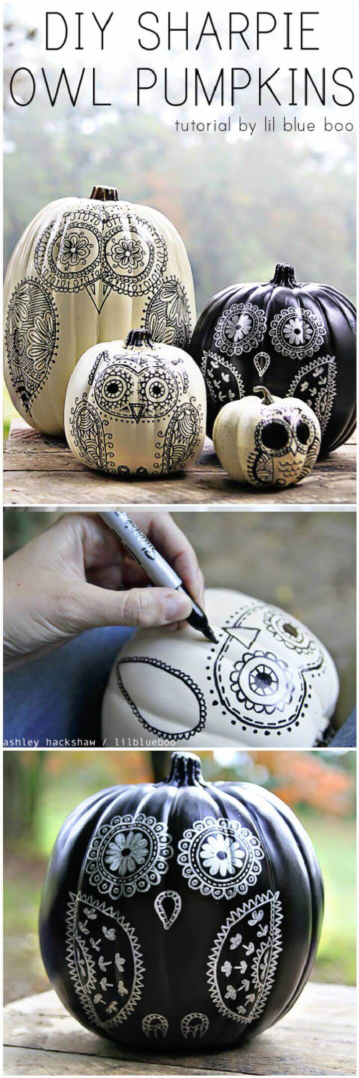 DIY Sharpie Owl Pumpkins