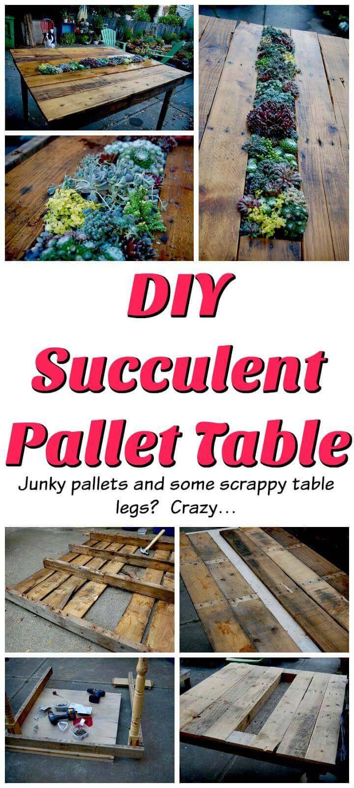 DIY succulent pallet table