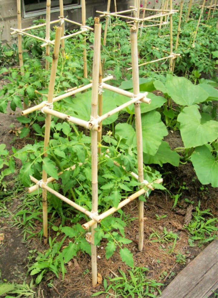 DIY The Bamboo Tomato Cage