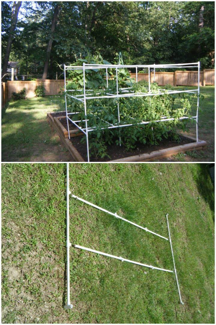 DIY Tomato Cage with PVC