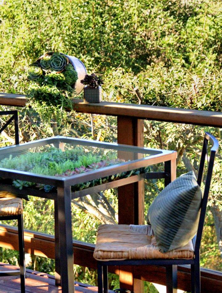 Easy DIY Succulent Table