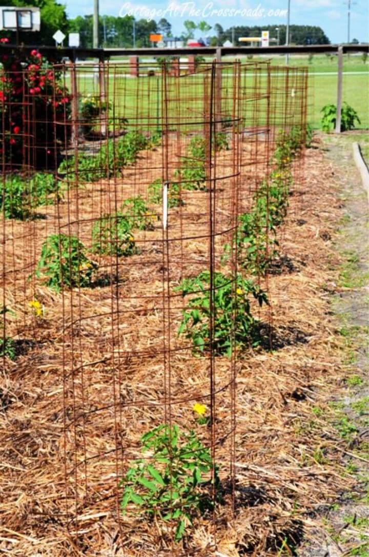 Easy to Make Tomato Cages
