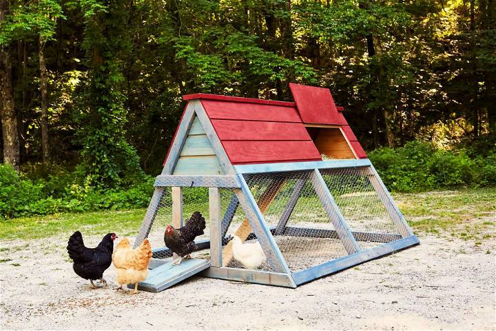 Free Backyard Chicken Coop Plan