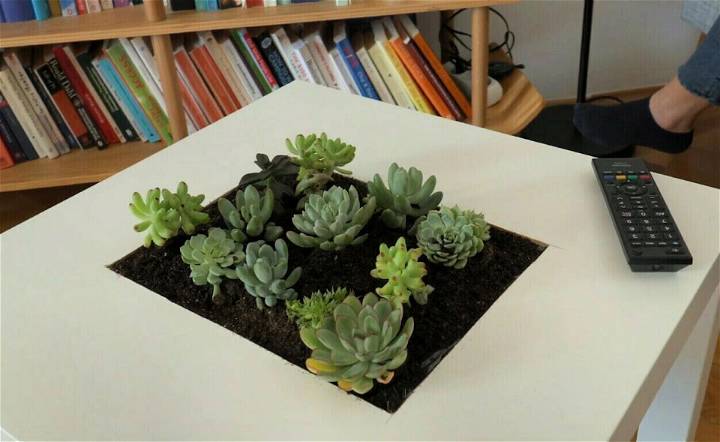 Handmade Succulent Table