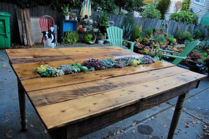Homemade Succulent Pallet Table