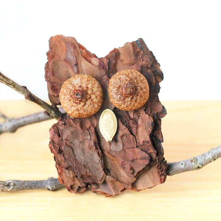 How to Make Bark Owls