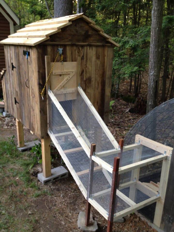 How to Make Chickss Chicken Coop