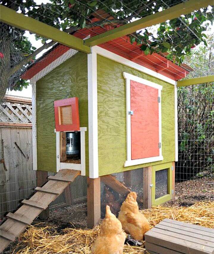 How to Make Urban Chicken Coop