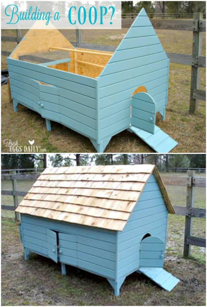 How to Make Your Own Chicken Coop