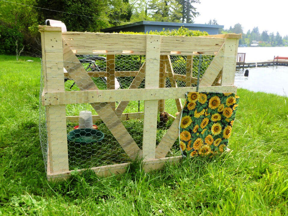 Making a Pallet Chicken Coop for Under $20